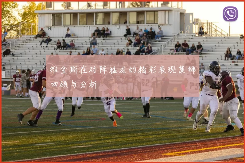 维金斯在对阵猛龙的精彩表现集锦回顾与分析